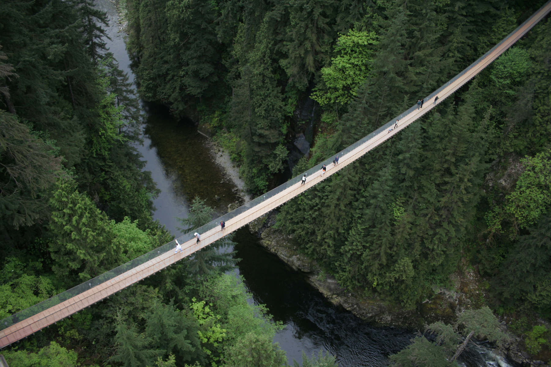 Aerial view of the Capilano suspension bridge, with the river below and green trees on either sade of the ravine. There are several people at different spots walking along the bridge, and it is daytime, but flat grey light.