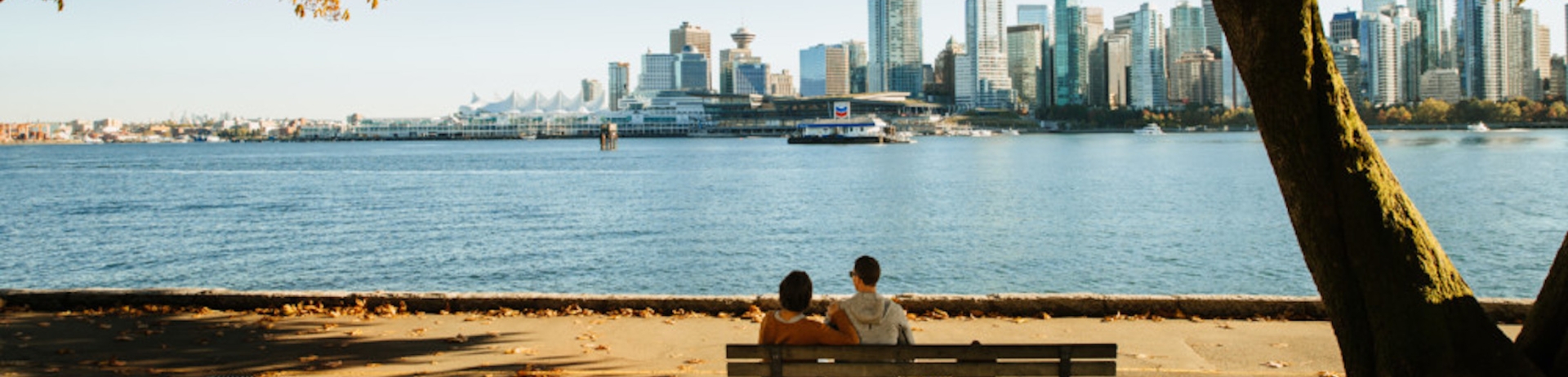 a couple sitting on a bench under a tree