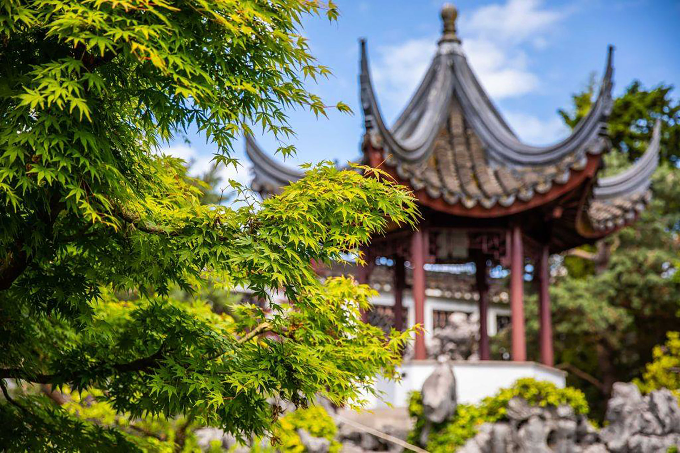 Dr.-Sun-Tay-Sen-Classical-Chinese-Garden