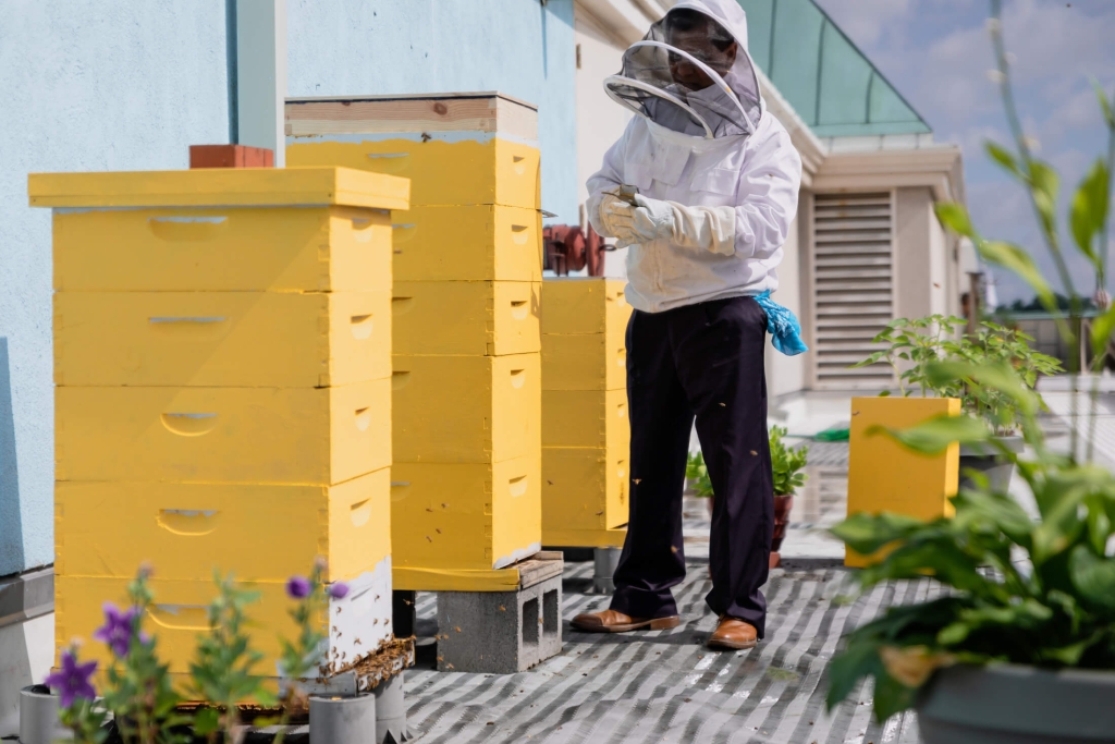 A beekeeper in appropriate clothing