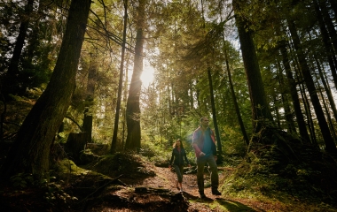 Stanley Park