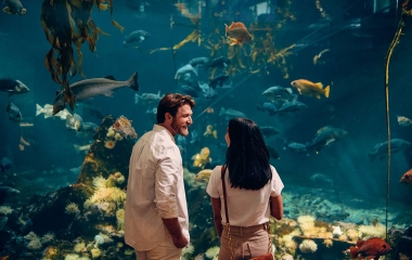 Vancouver Aquarium