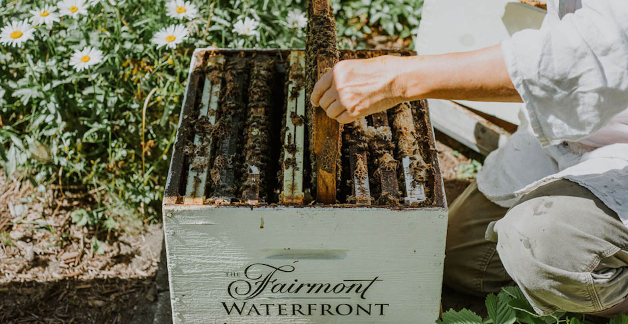 A bee keeper in a bee hive.