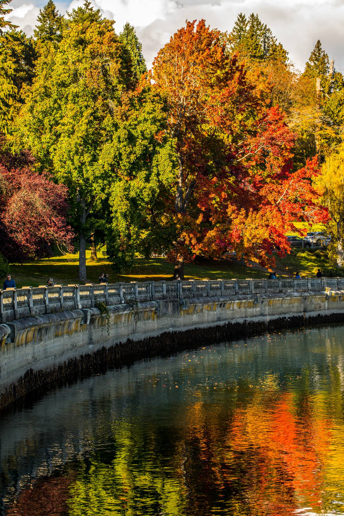 Image of the sea wall in Vancouver, BC. The ocean is in the bottom corner, with the stone suspended walkway cutting through the middle in a curve, and Stanley Park's colourful trees of varying shades of red, green, orange, and yellow stand in the background.