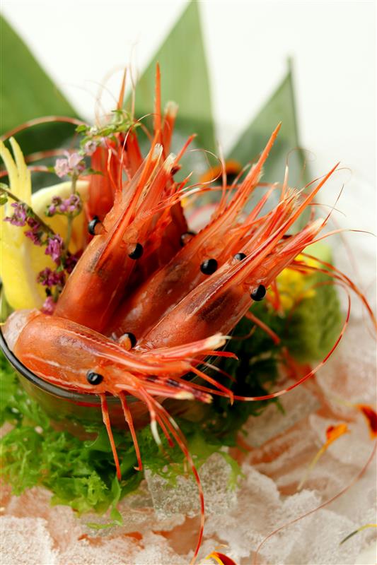 spot prawn