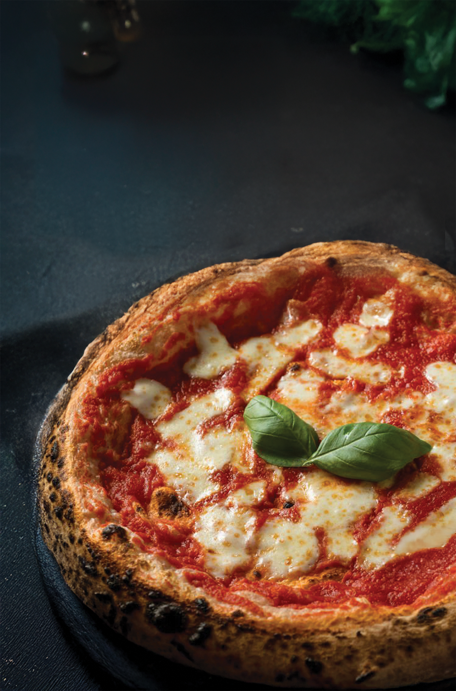 pizza margarita with dark background