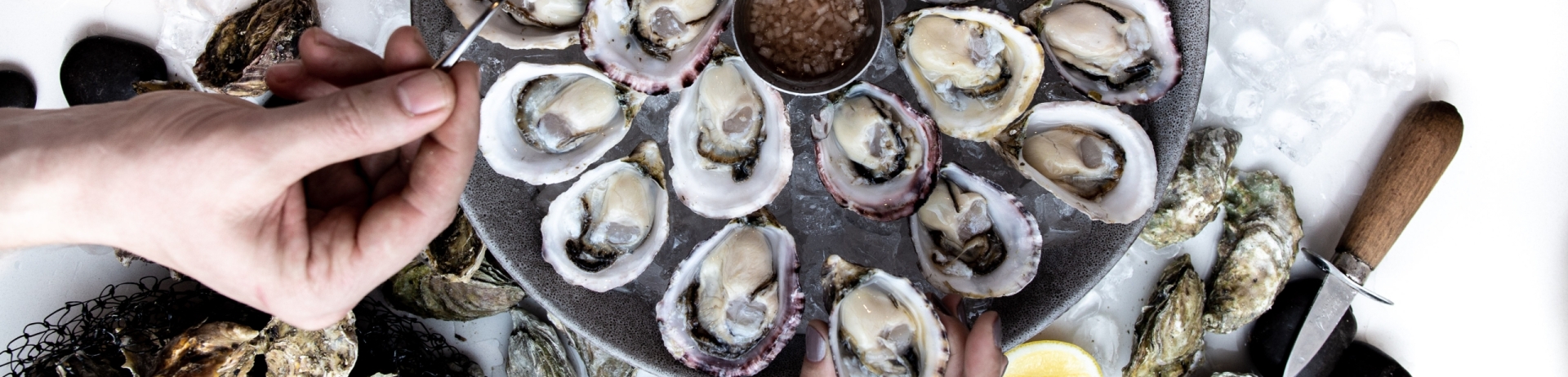 Hands reaching for fresh oysters on a bed of ice at ARC