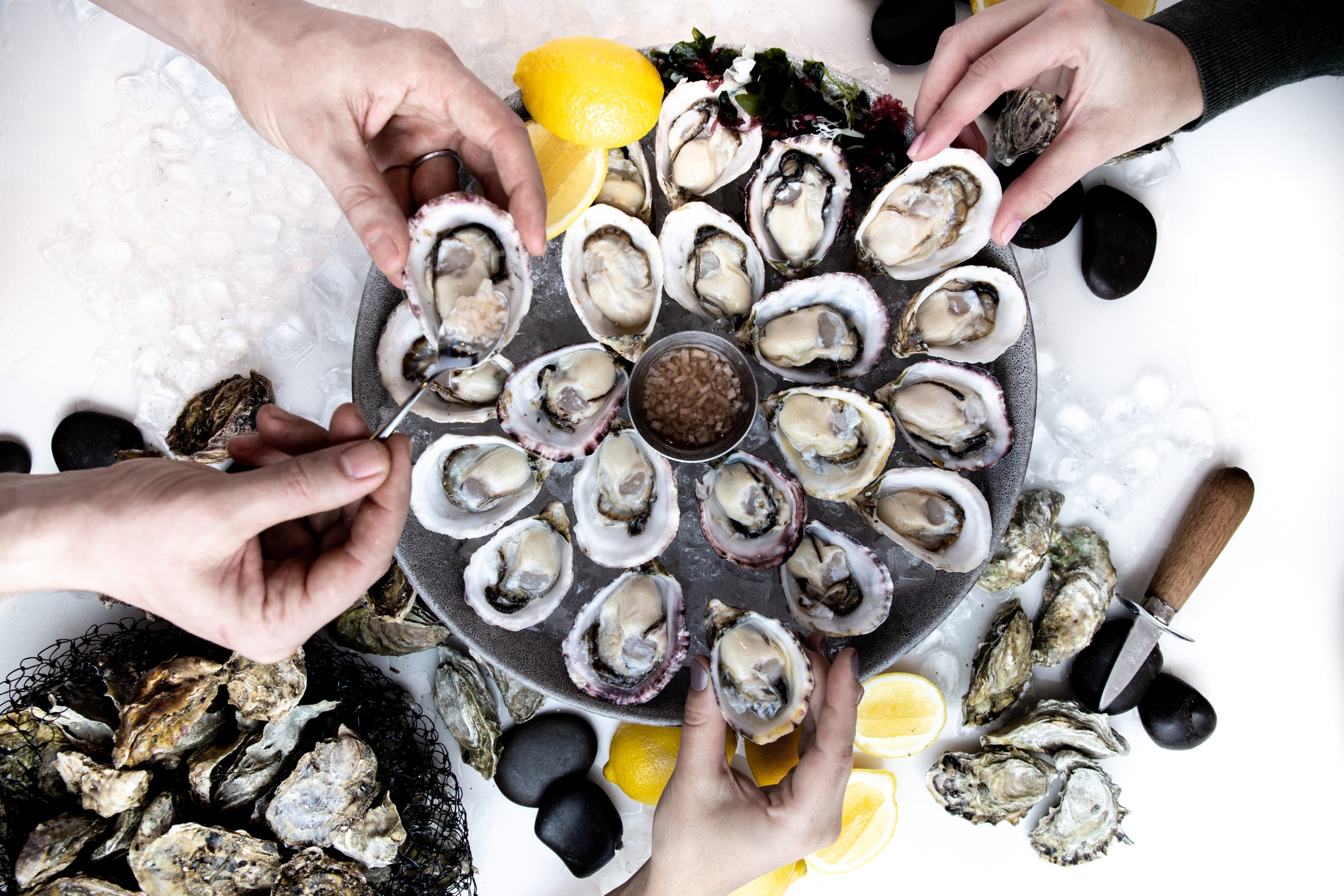 Hands reaching for fresh oysters on a bed of ice at ARC