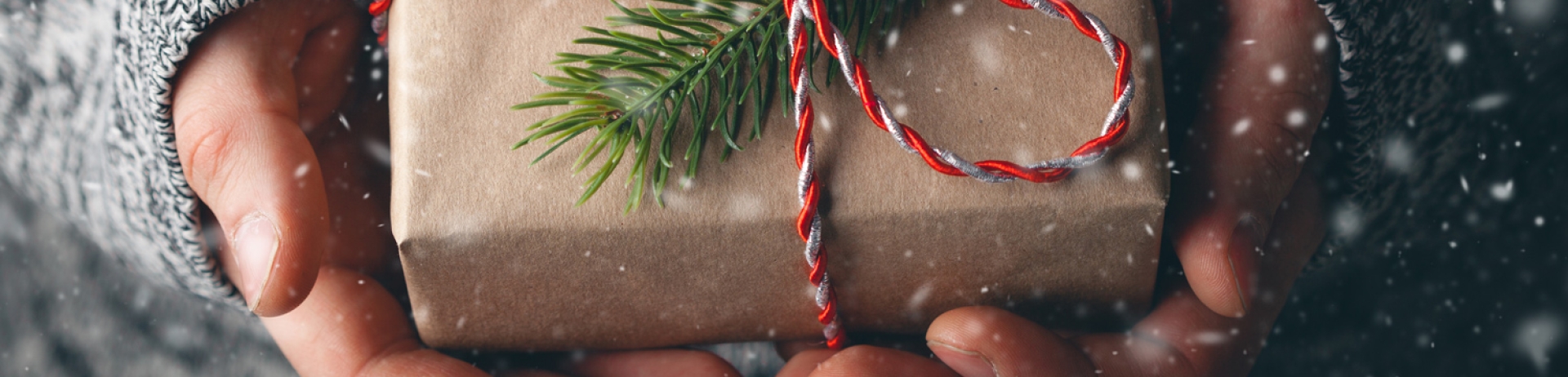 Hands holding a present , tied with a ribbon and sprig of pine.