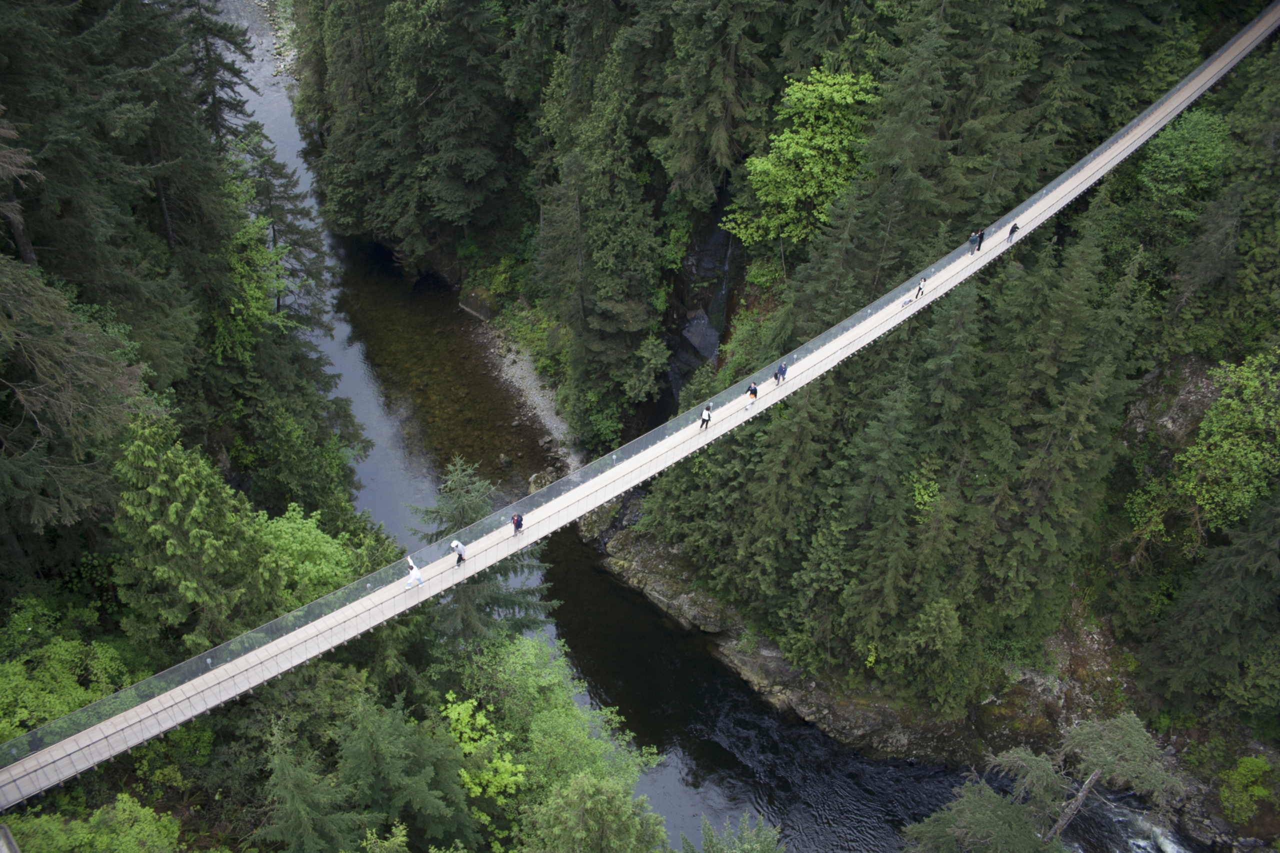 Birdseye view of the Capilano Suspension Bridge and lush greenery in North Vancouver